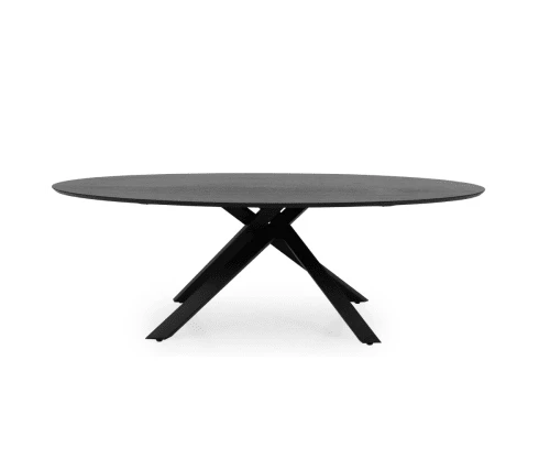 Meubles & Design Tables à Manger Table à Manger Ovale 240x120cm Couleur Noire 5 Meubles & Design Tables à Manger Table à Manger Ovale 240x120cm Couleur Noire – Image 3
