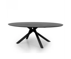 Meubles & Design Tables à Manger Table à Manger Ovale 240x120cm Couleur Noire