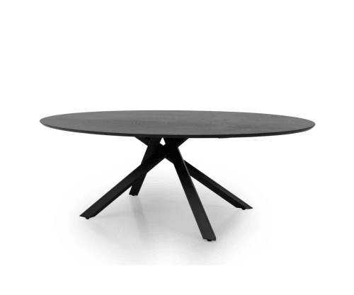 Meubles & Design Tables à Manger Table à Manger Ovale 240x120cm Couleur Noire 3 Meubles & Design Tables à Manger Table à Manger Ovale 240x120cm Couleur Noire