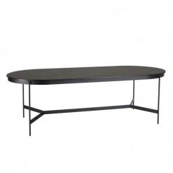 MACABANE Tables à Manger Table à Manger Ovale Noire 240x104cm Piètement Métal