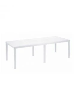 Dmora Tables à Manger Table Rectangulaire Extensible En Polypropylène Blanc